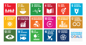 Sustainable Development Goals 